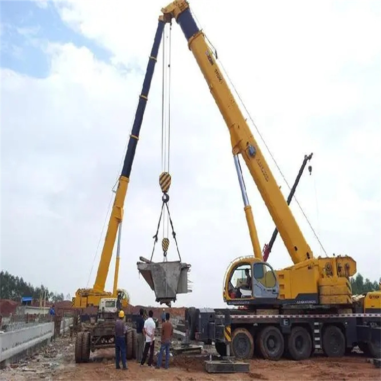 天门小型吊机出租电话|厂房设备吊装方案|24小时服务覆盖